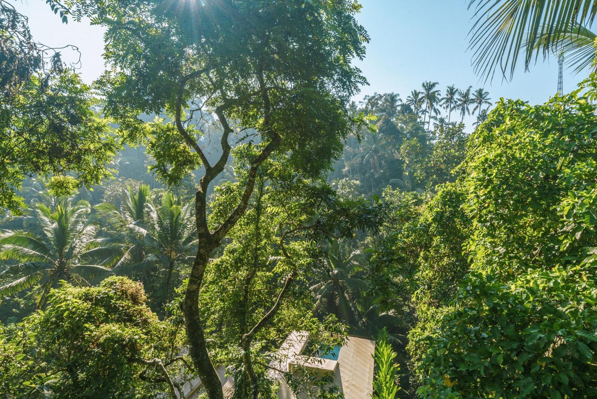 K Club Ubud Δωμάτιο φωτογραφία